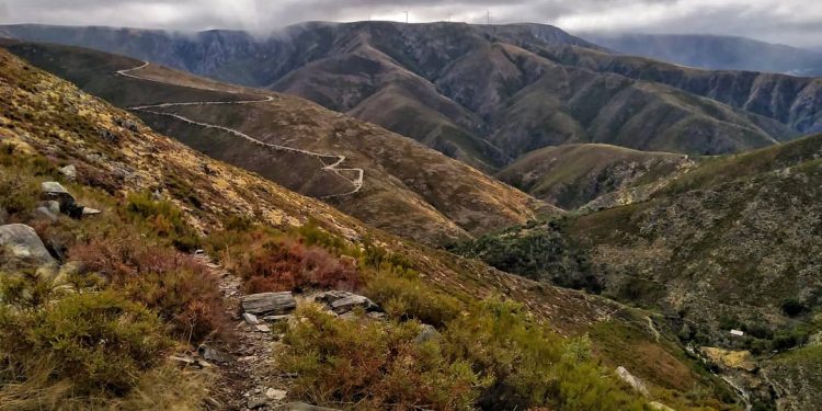 AFINAL FOMOS A DRAVE