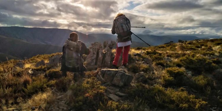 AFINAL FOMOS A DRAVE