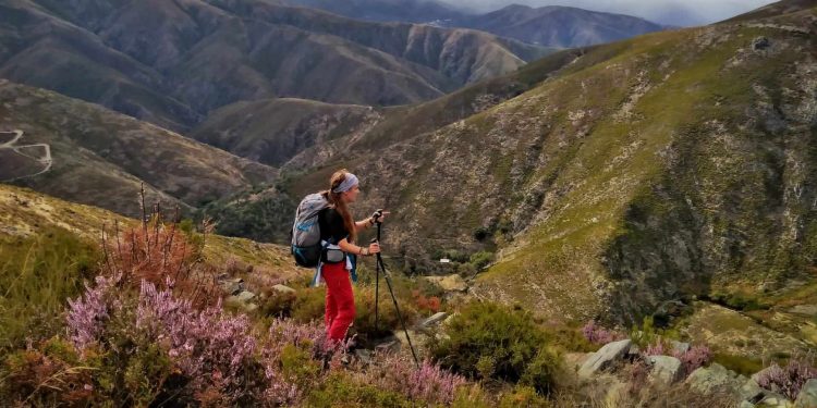 AFINAL FOMOS A DRAVE