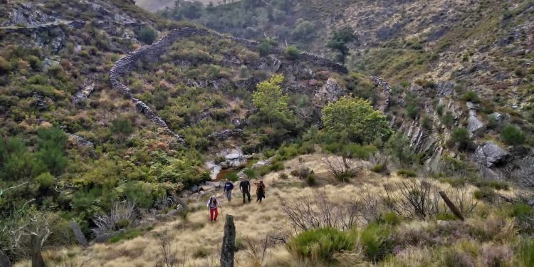 AFINAL FOMOS A DRAVE