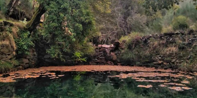 AFINAL FOMOS A DRAVE