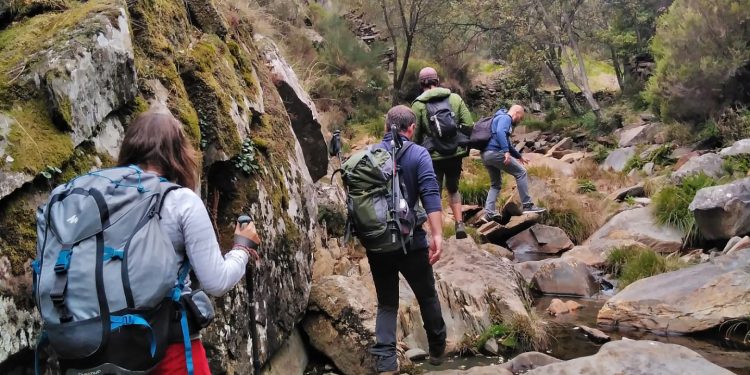 AFINAL FOMOS A DRAVE