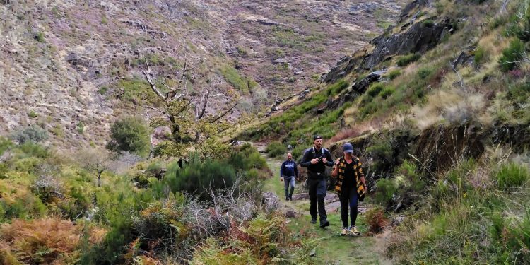 AFINAL FOMOS A DRAVE