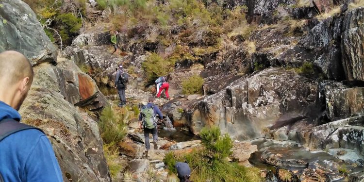 AFINAL FOMOS A DRAVE