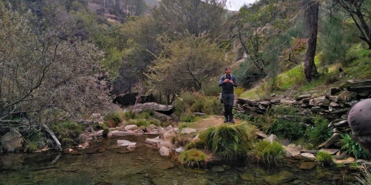 AFINAL FOMOS A DRAVE