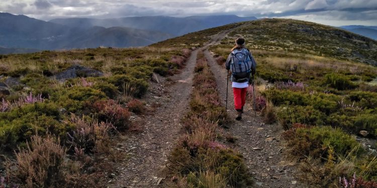 AFINAL FOMOS A DRAVE