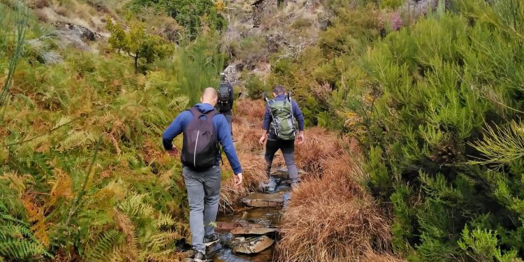 AFINAL FOMOS A DRAVE