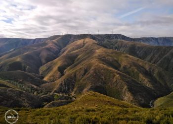 AFINAL FOMOS A DRAVE