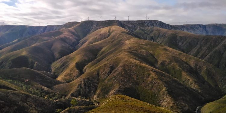 AFINAL FOMOS A DRAVE