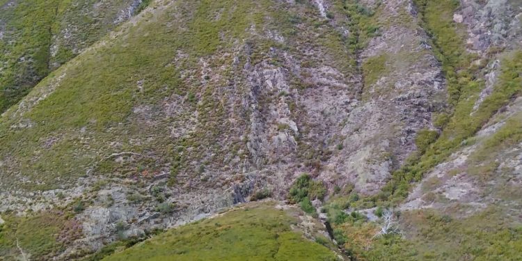 AFINAL FOMOS A DRAVE