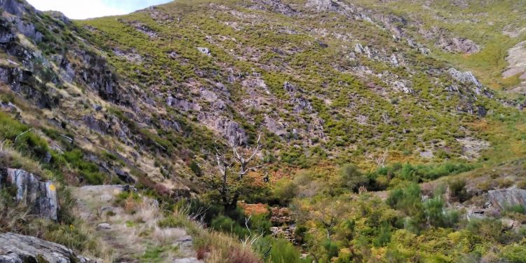 AFINAL FOMOS A DRAVE