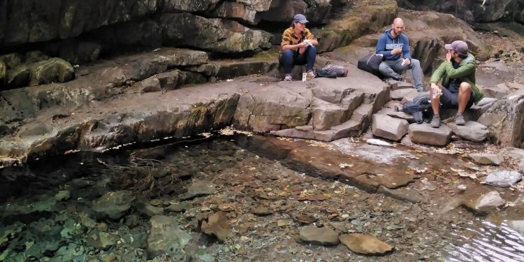 AFINAL FOMOS A DRAVE