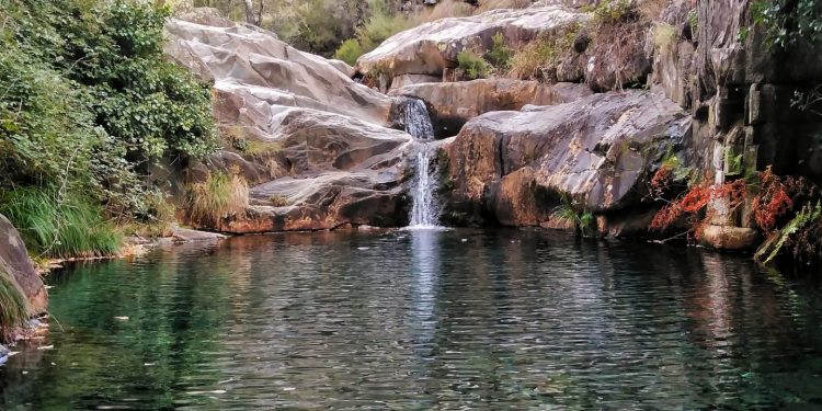 AFINAL FOMOS A DRAVE