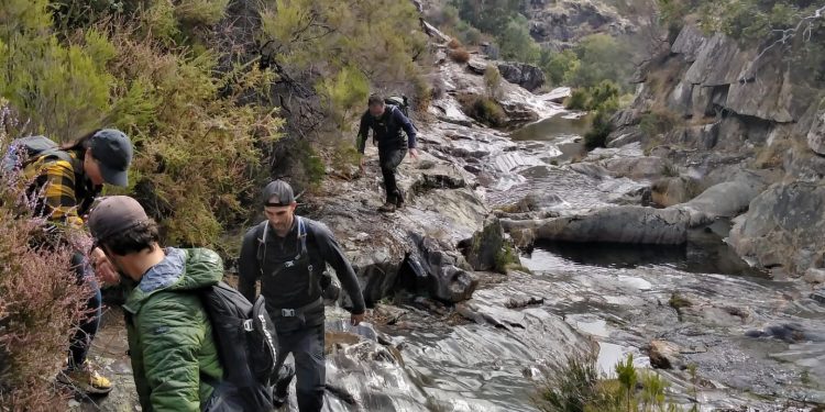 AFINAL FOMOS A DRAVE