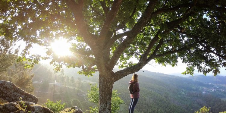 AVENTURA NO DIVERLANHOSO