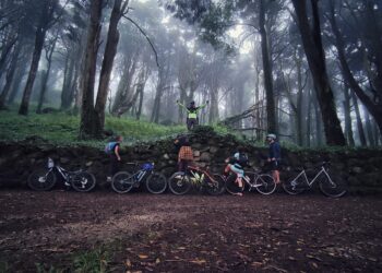 DIA MUNDIAL DA BICICLETA